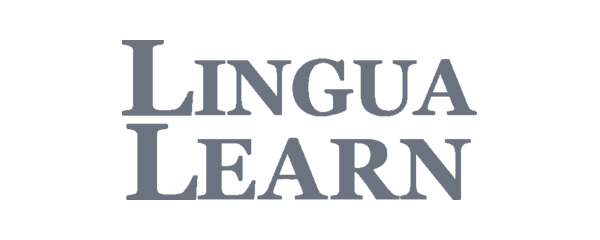 lingua-learn-gris